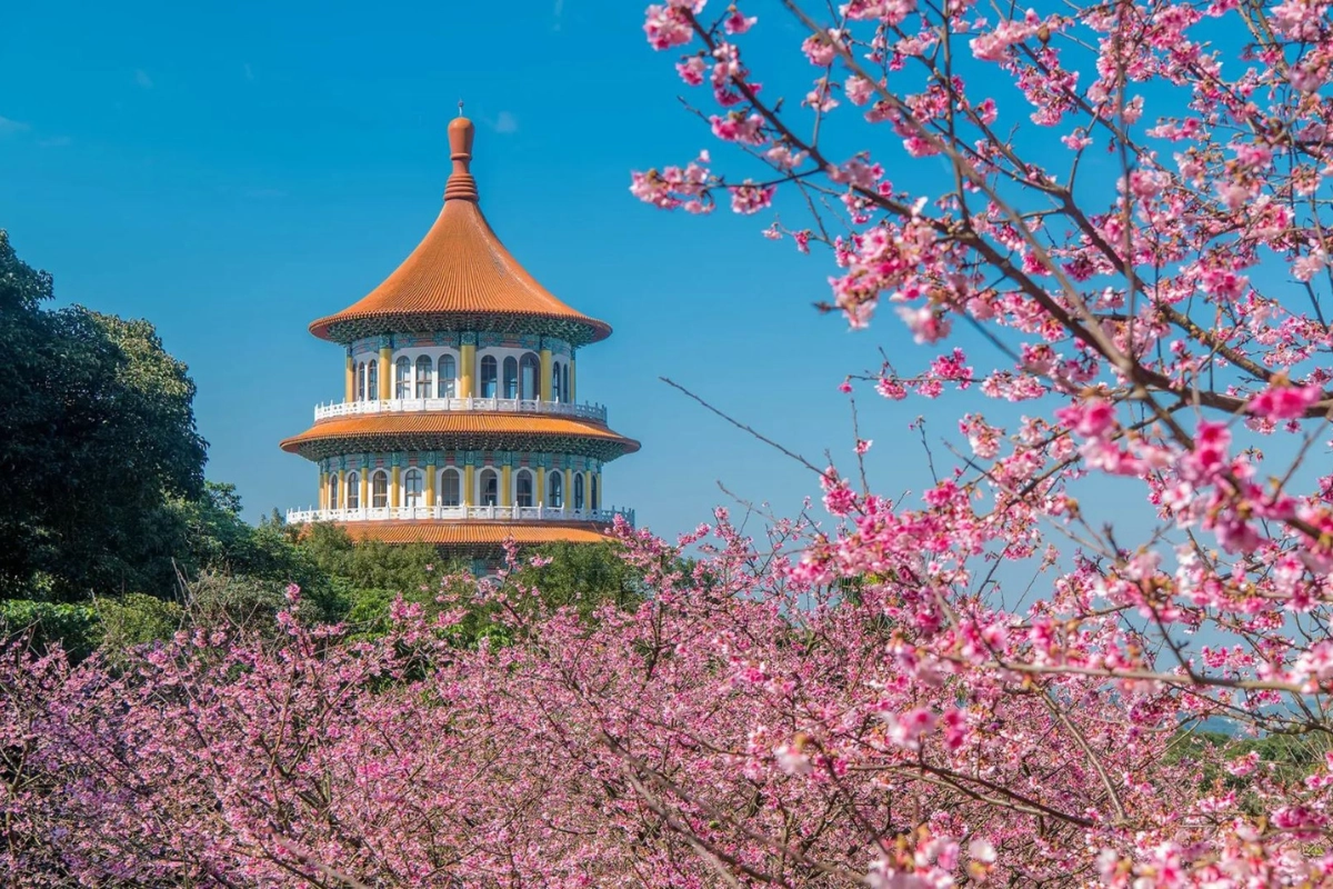 Học bổng hot của trường Đại học Khoa Học Kỹ Thuật Triều Dương