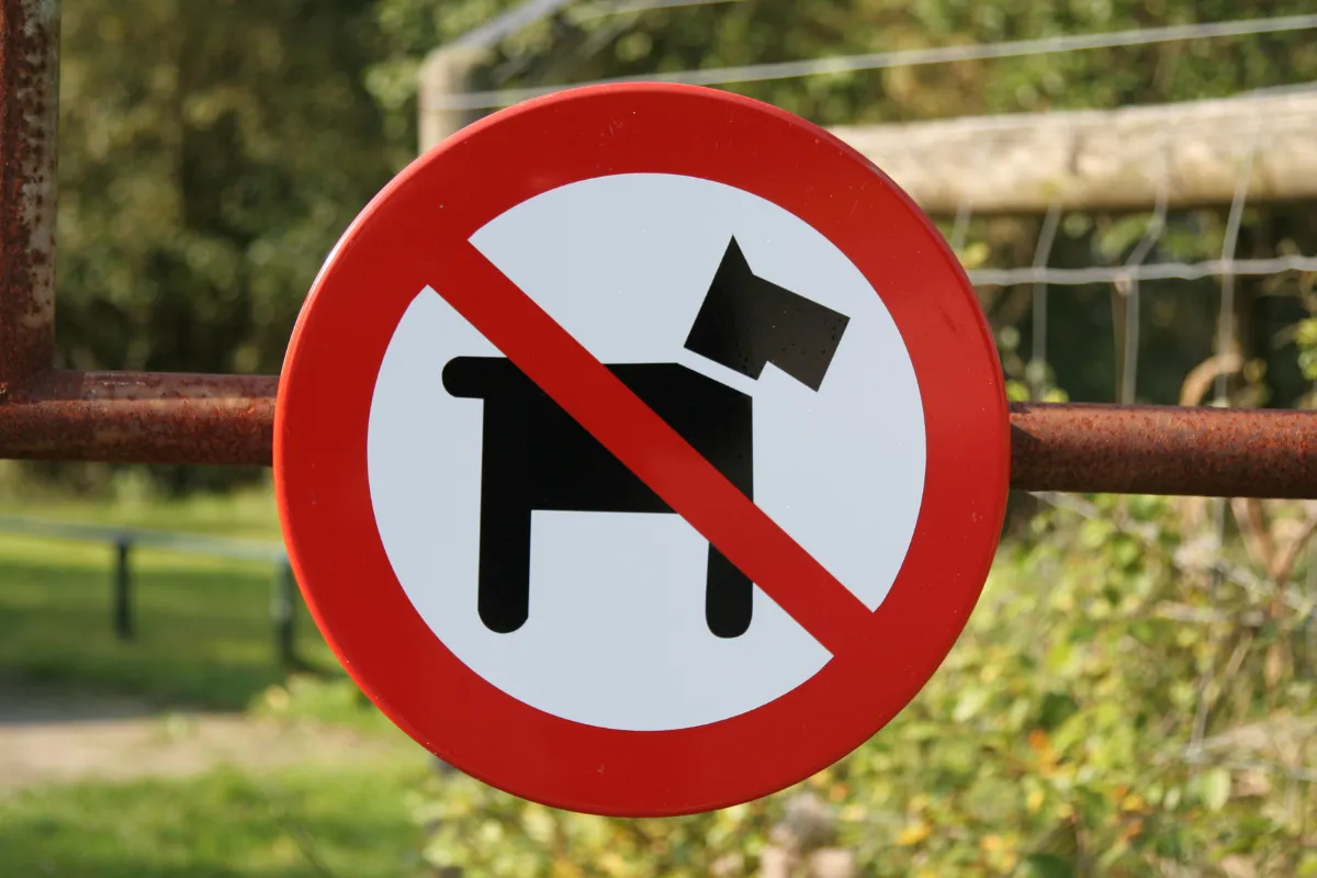 Không được nuôi thú cưng_4