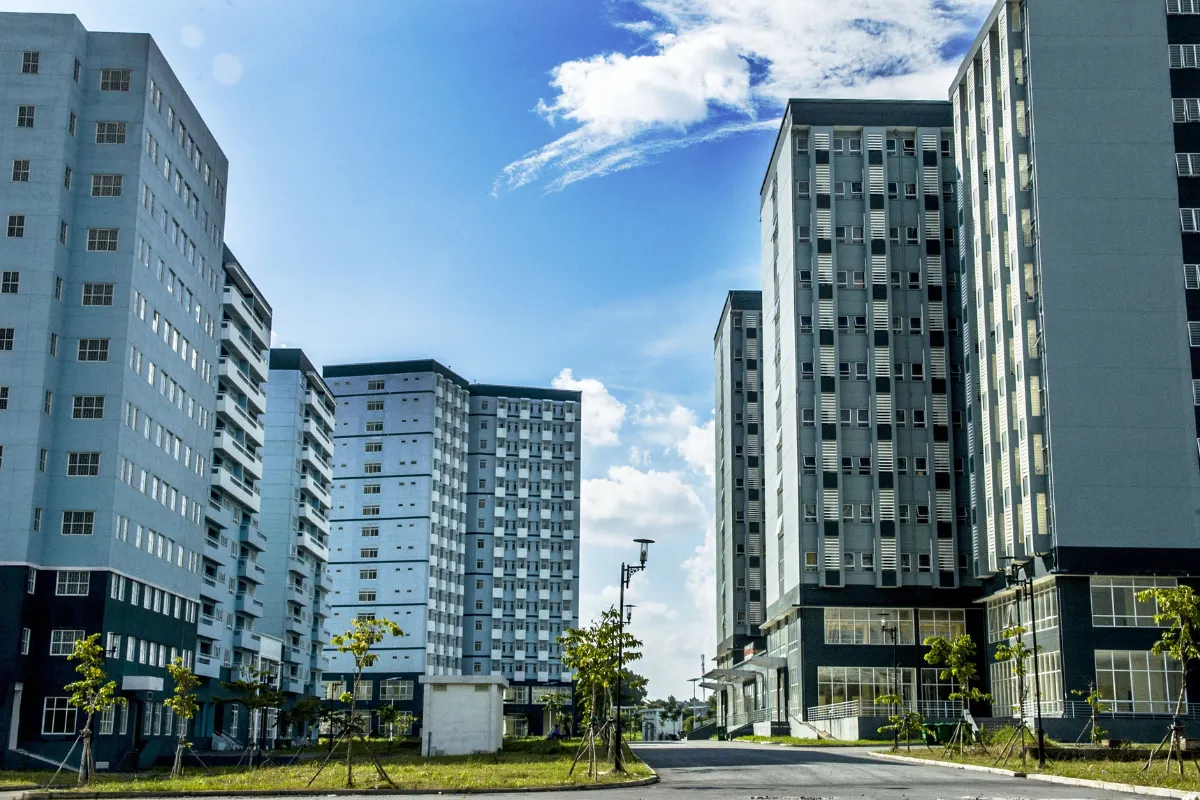 Thư giới thiệu của giáo viên hoặc cấp trên