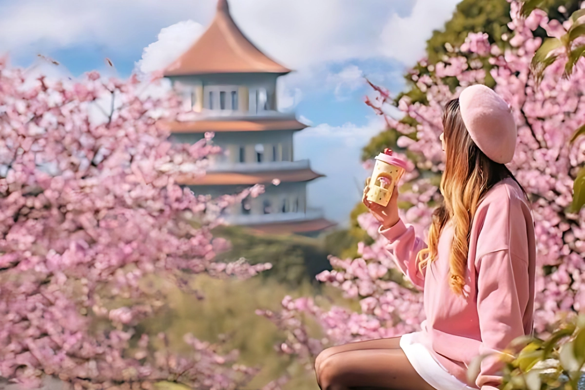 Top những ngành hot khi du học Đài Loan