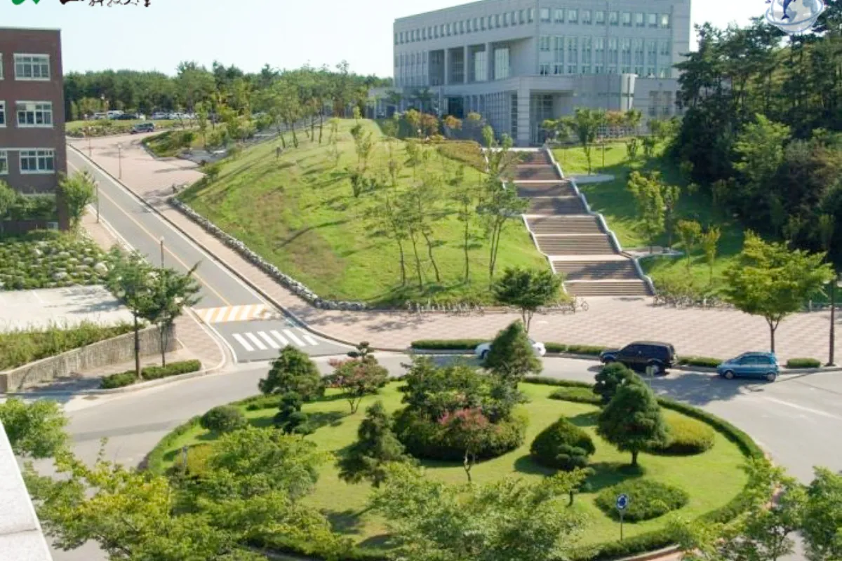 Đại học Côn Sơn hệ 1+4