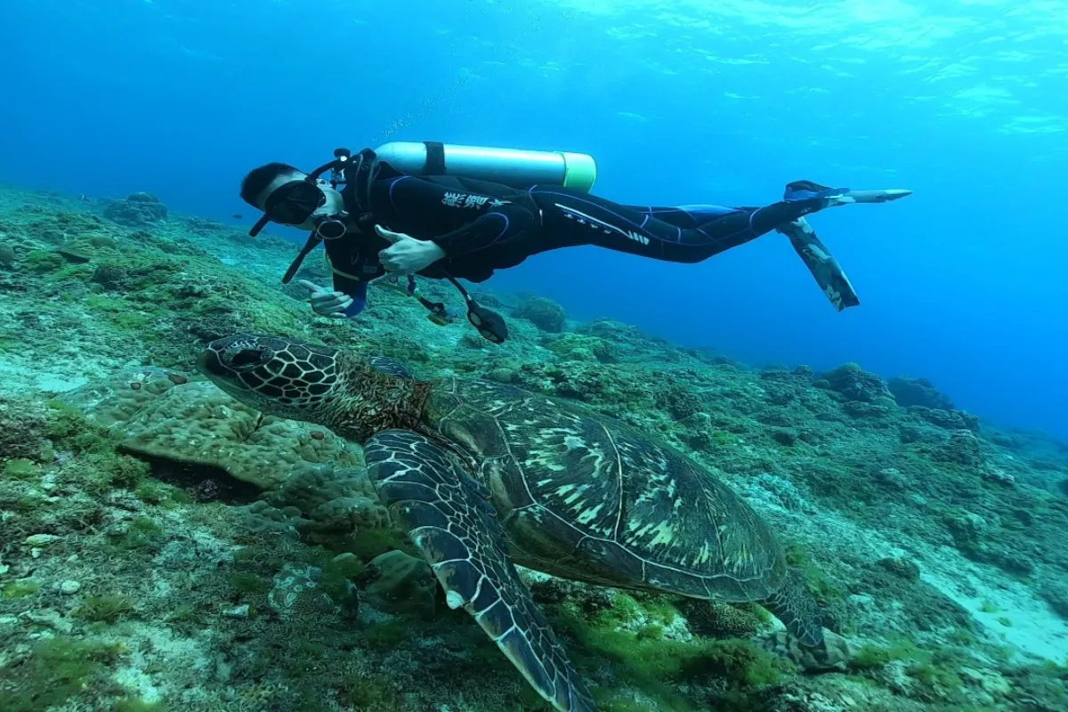 Khám phá đảo san hô Xiaoliuqiu: Cuộc phiêu lưu giữa thiên nhiên hoang dã