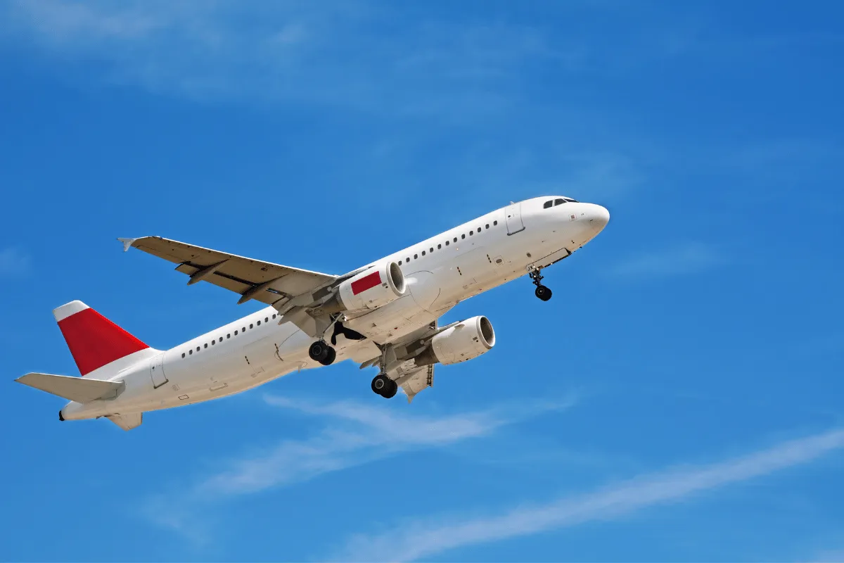 Review về hạng ghế phổ thông Starlux Airlines
