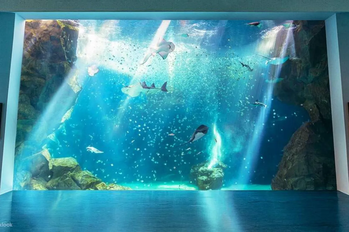 Xpark Aquarium nằm ở thành phố Đào Viên, và có nhiều phương tiện di chuyển