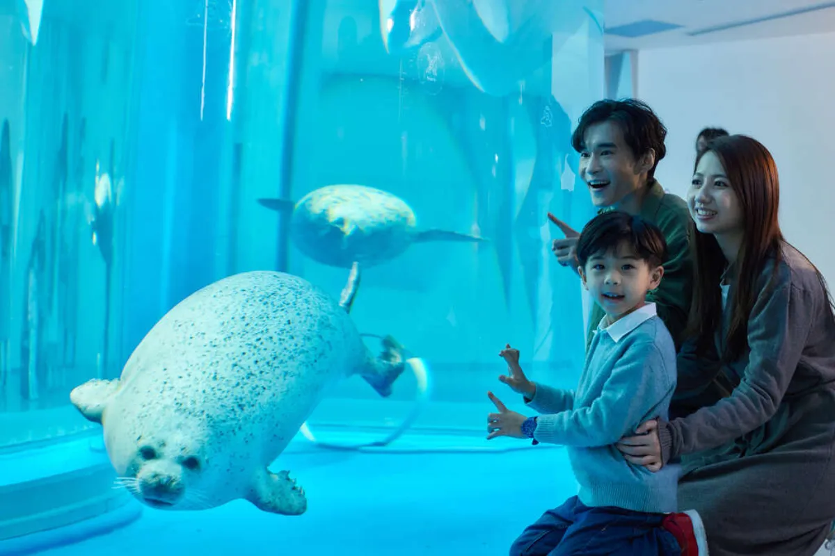 Xpark Aquarium - Thuỷ cung đẹp nhất Đài Loan