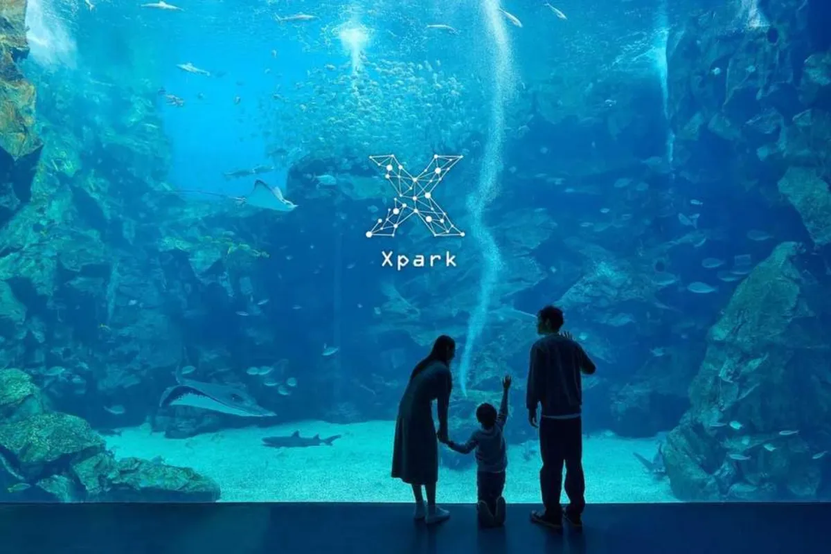 Xpark Aquarium - Thuỷ cung đẹp nhất Đài Loan