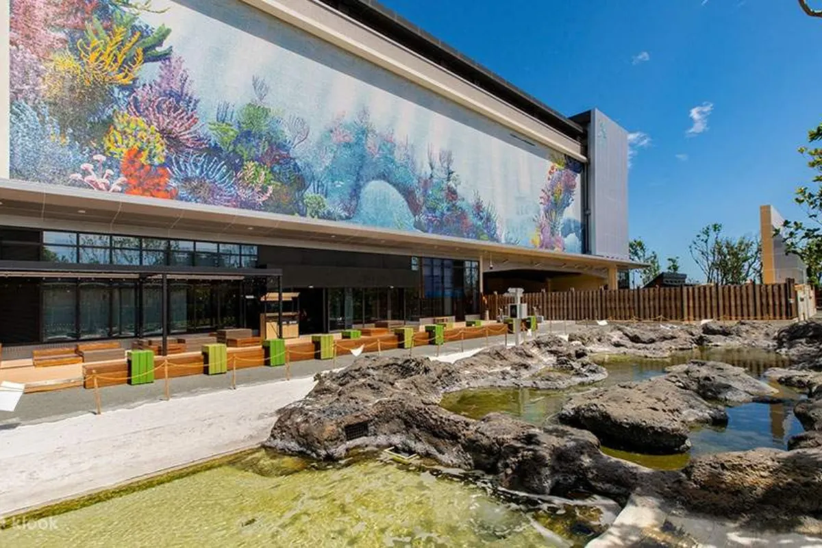 Trải nghiệm Xpark Aquarium_ Nơi hội tụ vẻ đẹp độc đáo của thủy cung Đài Loan