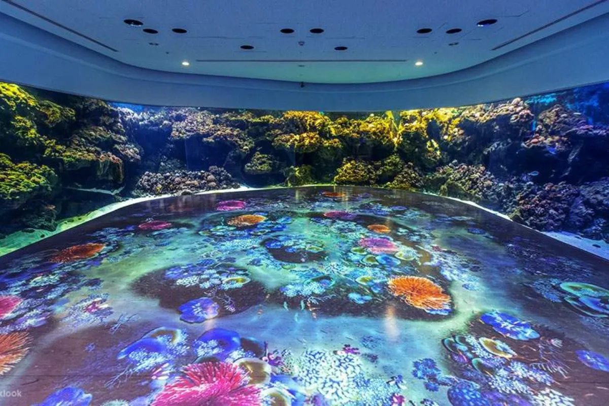Trải nghiệm Xpark Aquarium_ Nơi hội tụ vẻ đẹp độc đáo của thủy cung Đài Loan