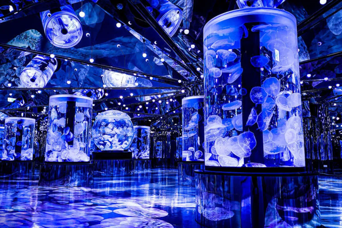 Trải nghiệm Xpark Aquarium_ Nơi hội tụ vẻ đẹp độc đáo của thủy cung Đài Loan