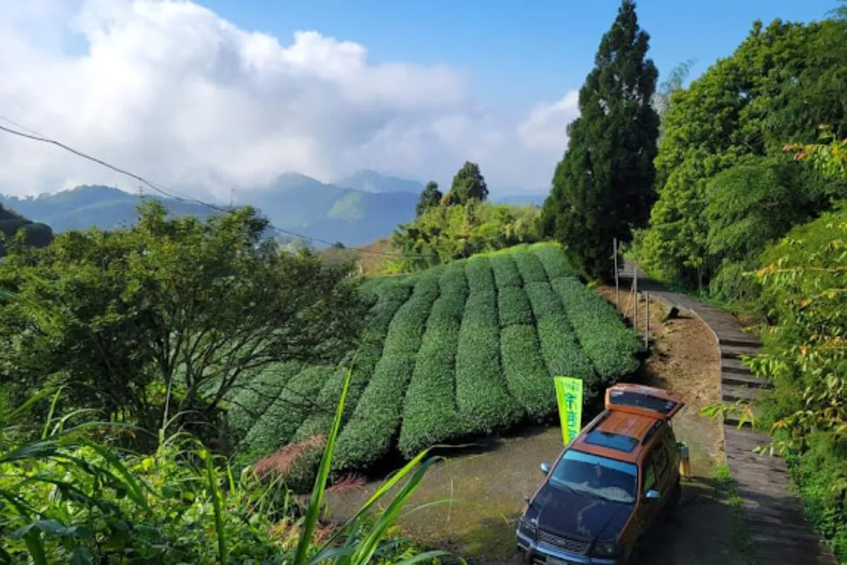 Cách di chuyển đến đường mòn Eryanping