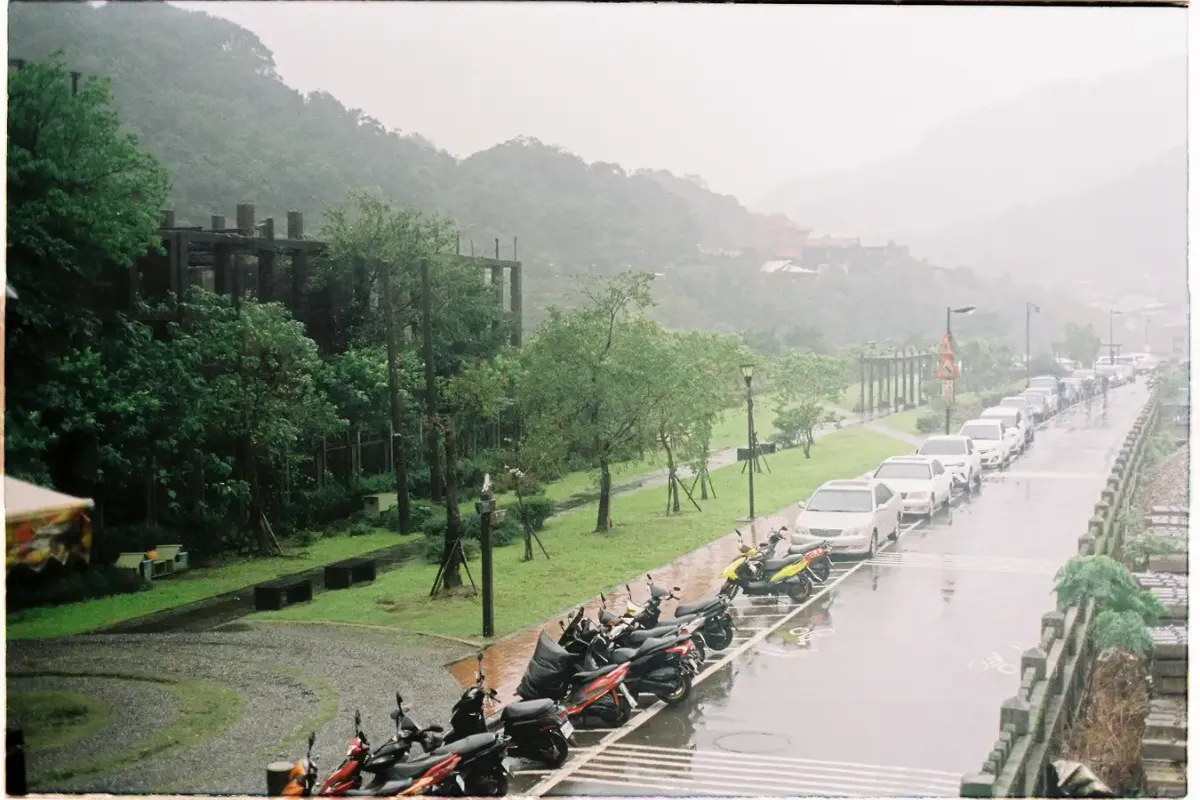 Nên đến làng mèo Houtong vào thời điểm nào?