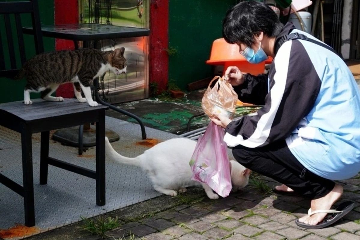 Rất yêu chó mèo